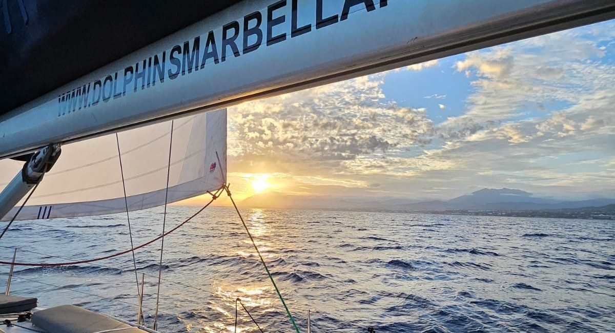 02c08f2e-0a0a-4f07-9060-0ad447873e17